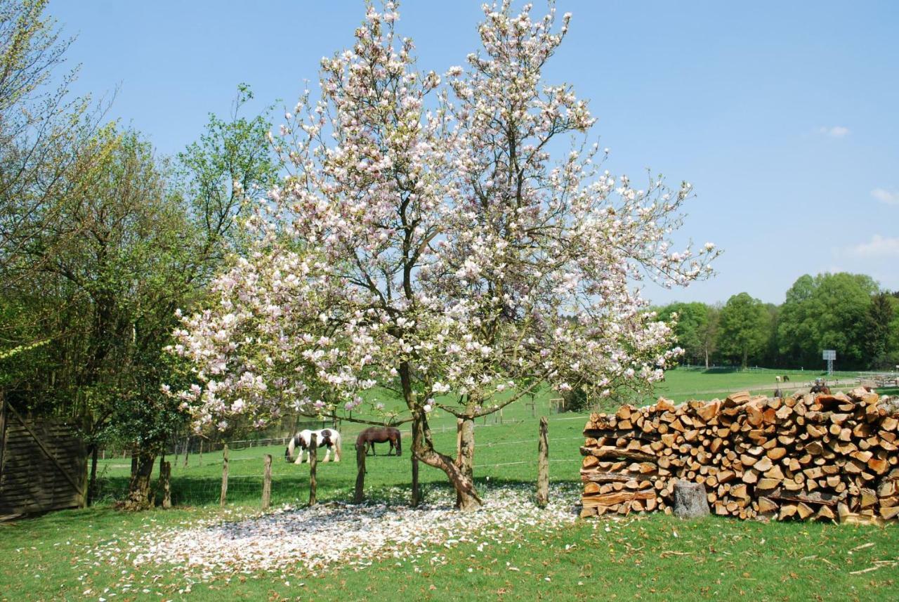 Stoeltings Landhaus Wiehl Exteriör bild